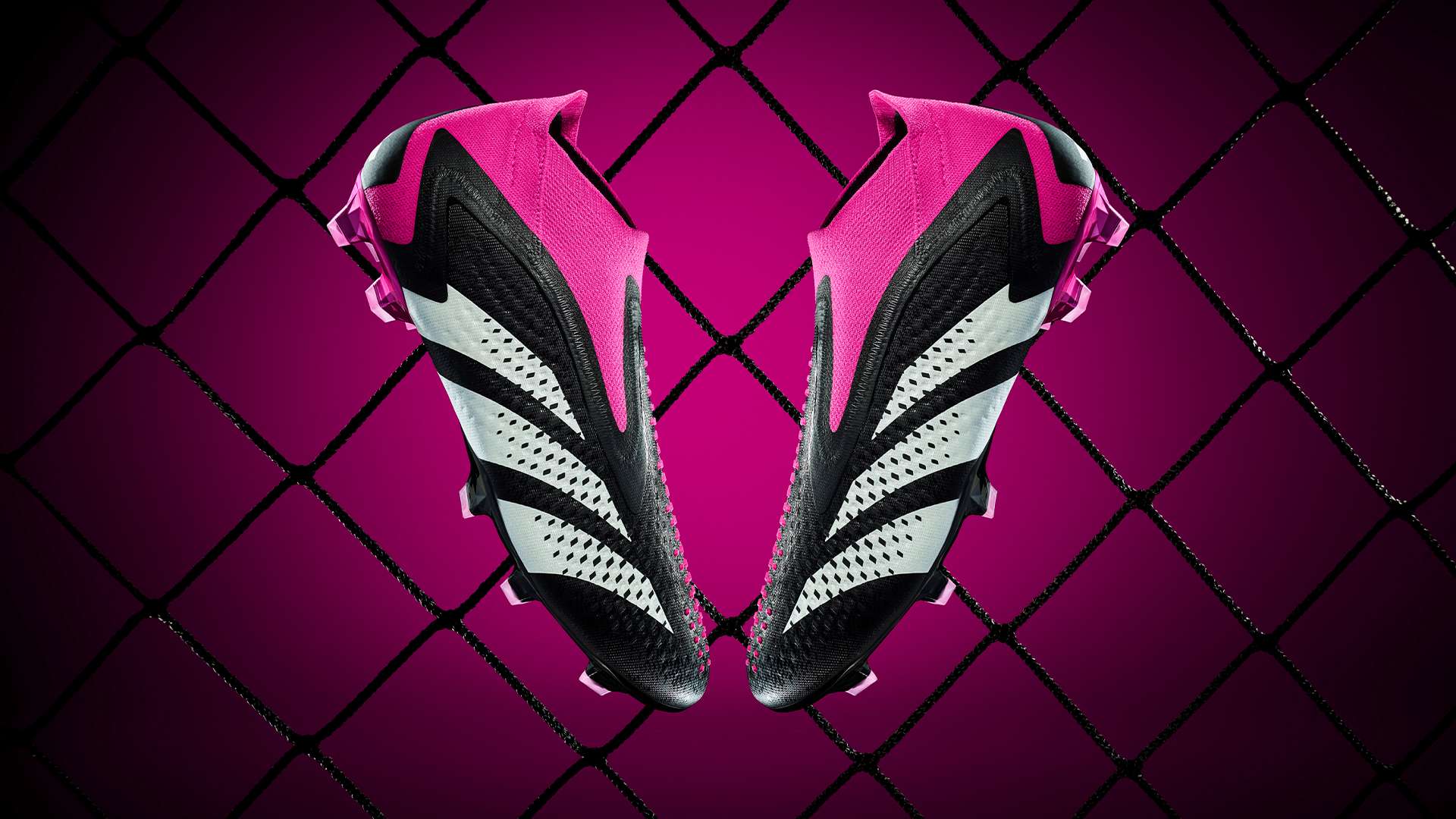 他在社交媒 他在社交媒