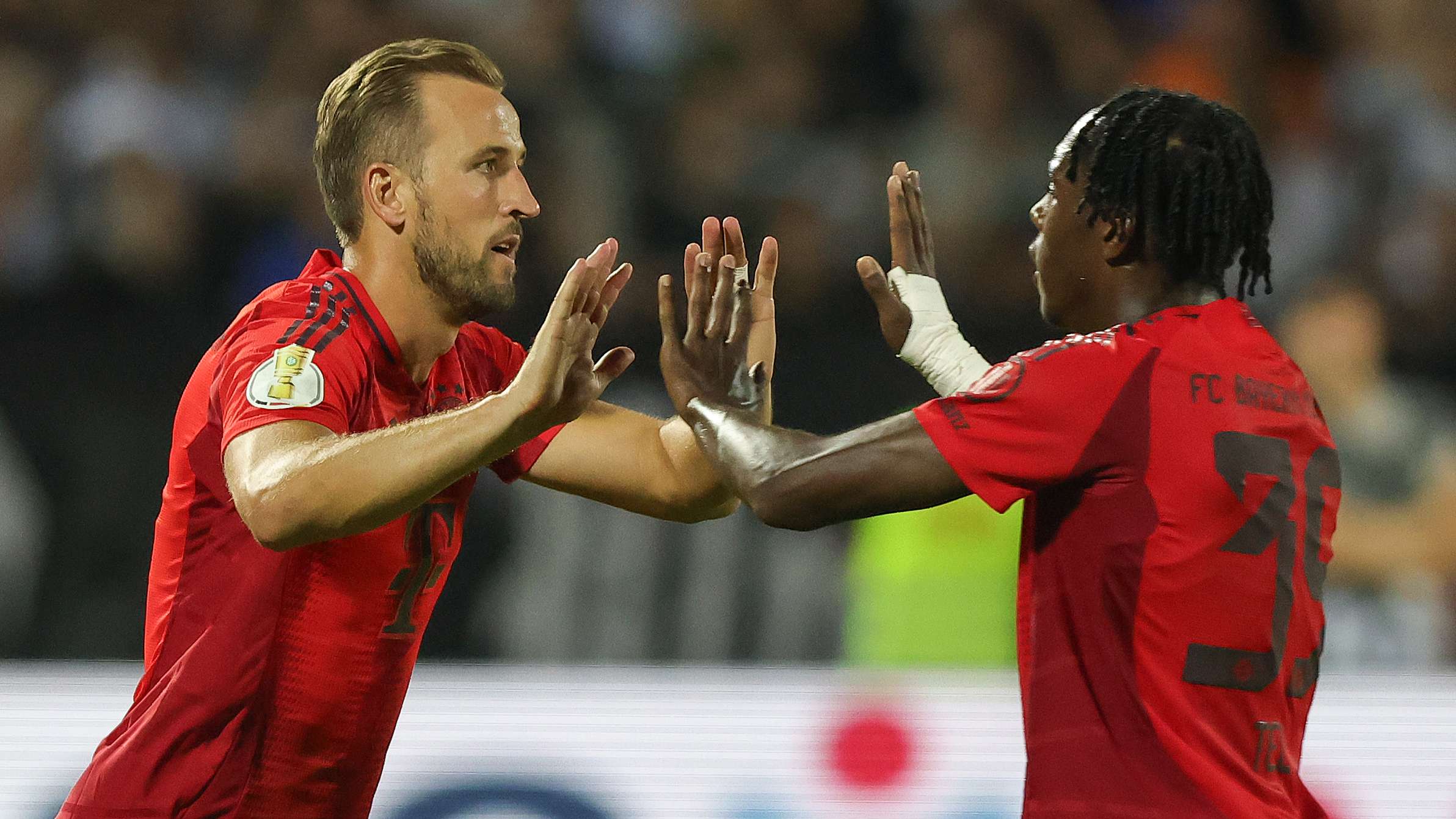 提供了借鉴 提供了借鉴